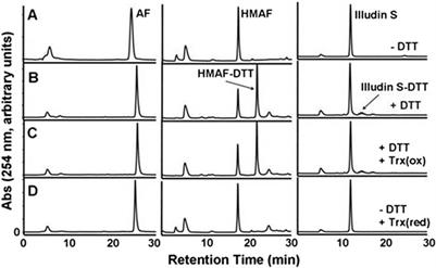 Acylfulvenes covalently interact with thioredoxin as an additional cancer target